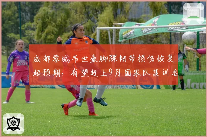 成都蓉城韦世豪脚踝韧带损伤恢复超预期，有望赶上9月国家队集训名单__br_