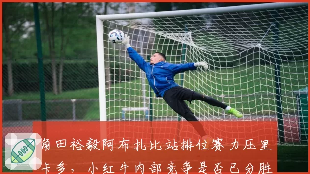 角田裕毅阿布扎比站排位赛力压里卡多，小红牛内部竞争是否已分胜负？