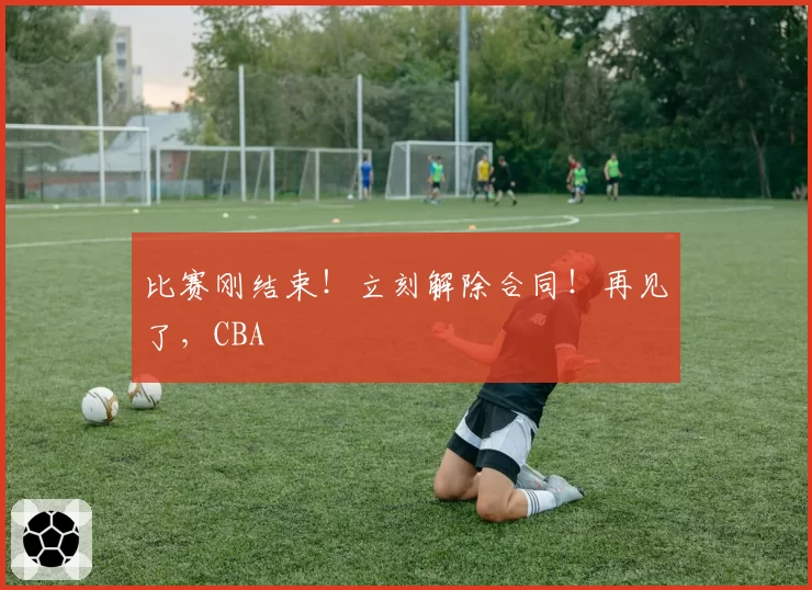 崔永熙抢断王争夺中领先，广州龙狮防守核心有望入选最佳阵容