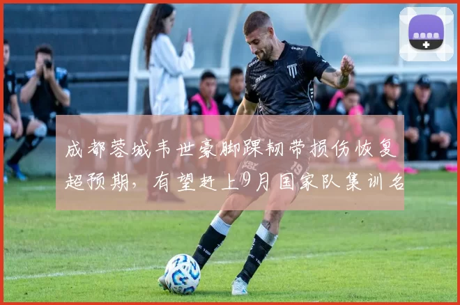 成都蓉城韦世豪脚踝韧带损伤恢复超预期，有望赶上9月国家队集训名单__br_